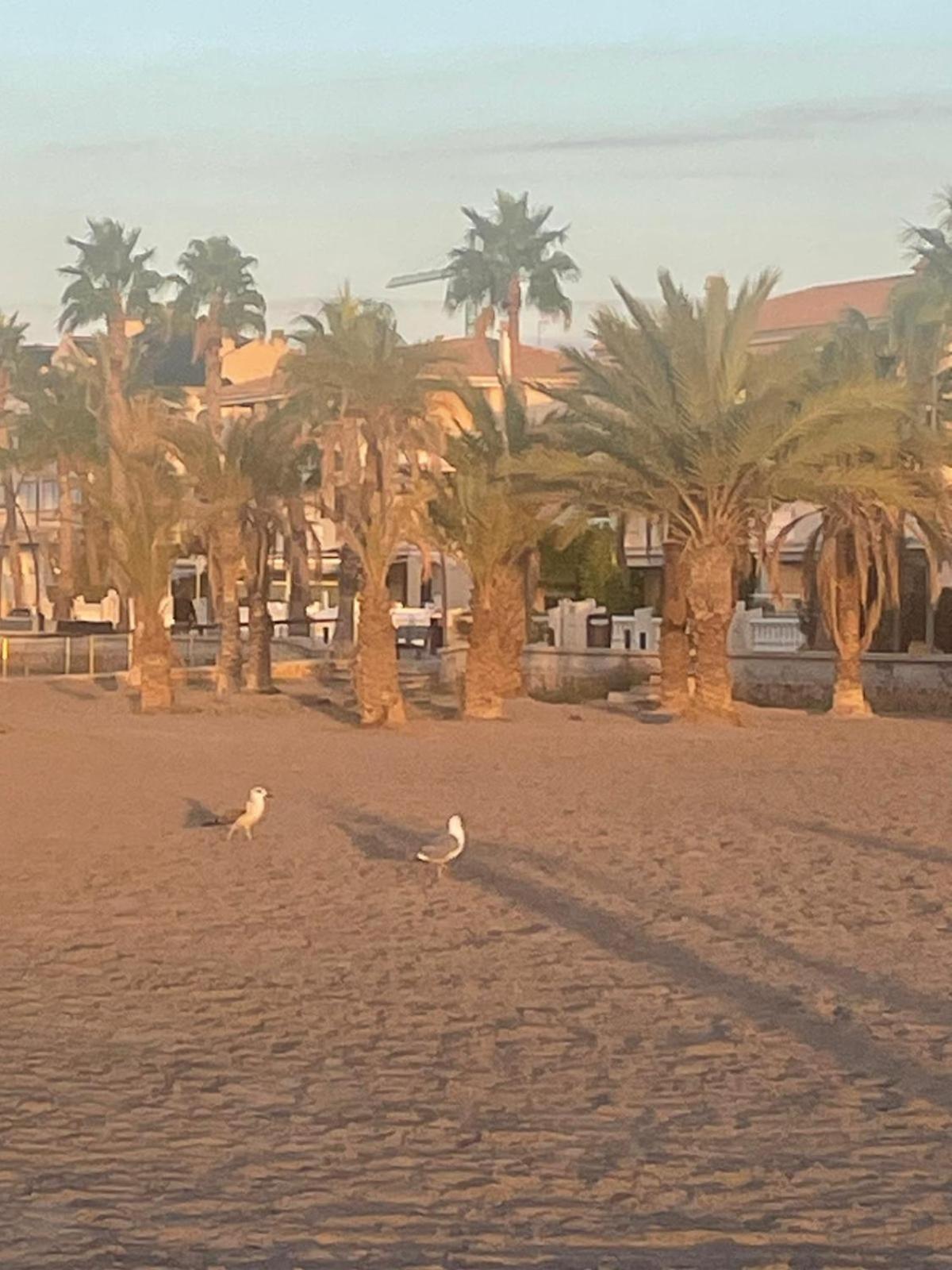 Апартаменты Vacaciones En Playa Del Tamarit Санта Пола Экстерьер фото